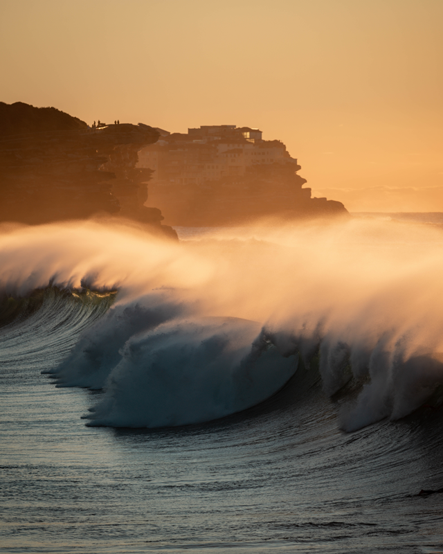 sydney surf