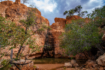 the secret waterhole