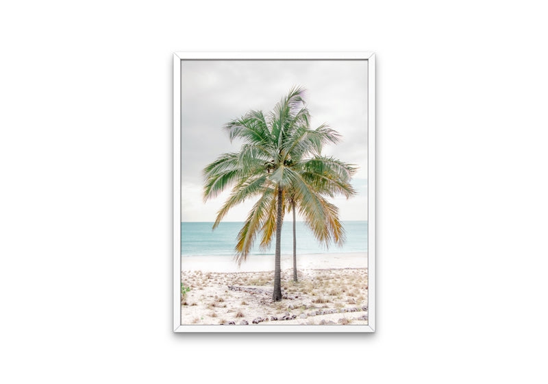 Percy Palm