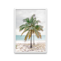 Percy Palm